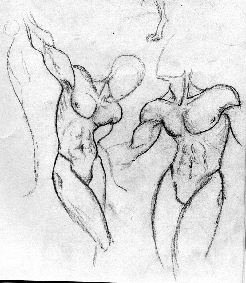 800x920 Male Body Study By Goldendune