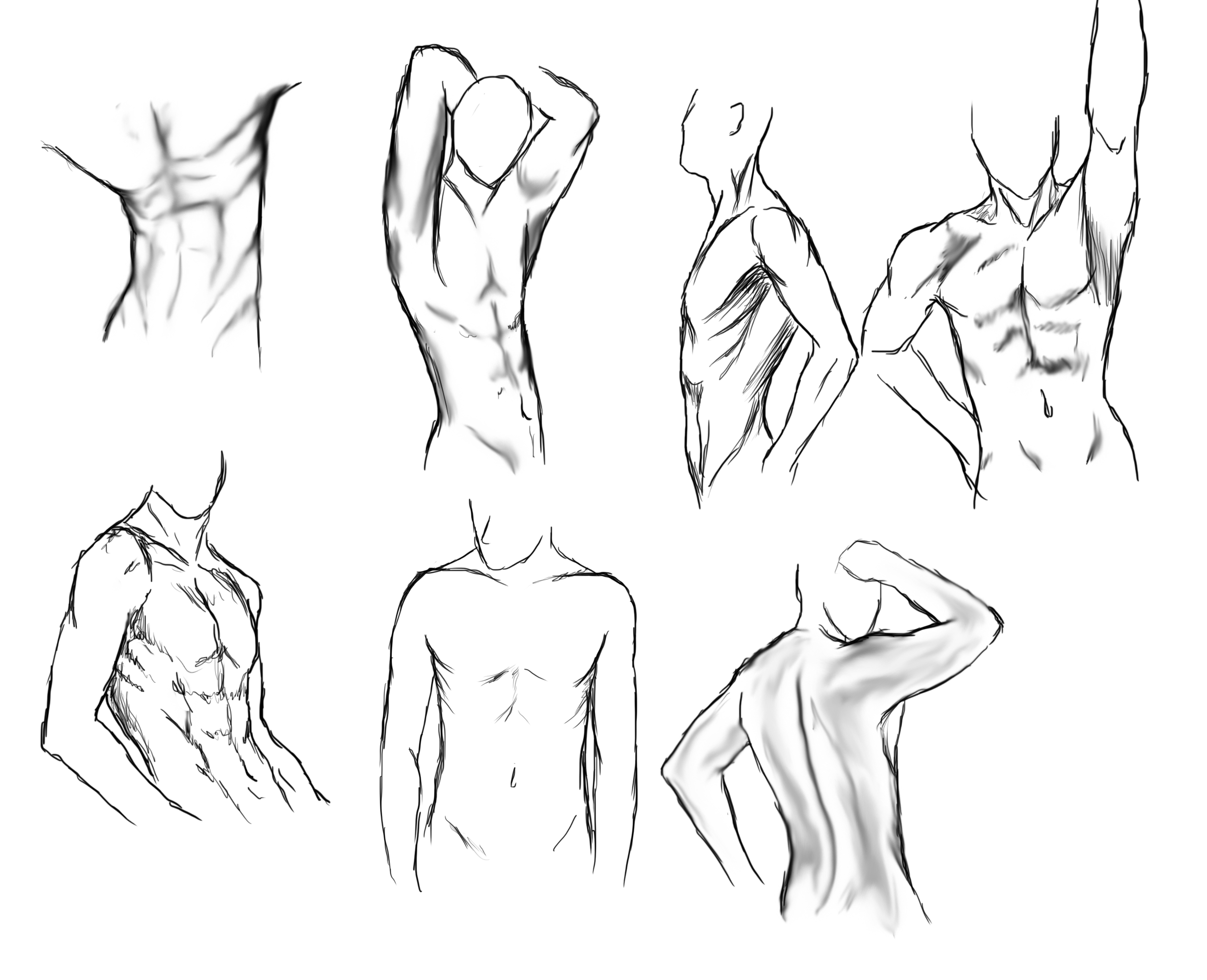 2513x2040 Body Study Ann Tomy
