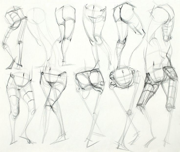 736x624 Human Anatomy Study 203 Best Drawing Tutorials Bones Muscles Human