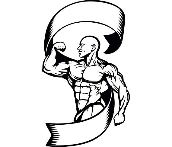 Bodybuilding Drawing at GetDrawings | Free download