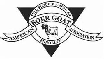 357x204 Smith's Hilltop Boer Goats