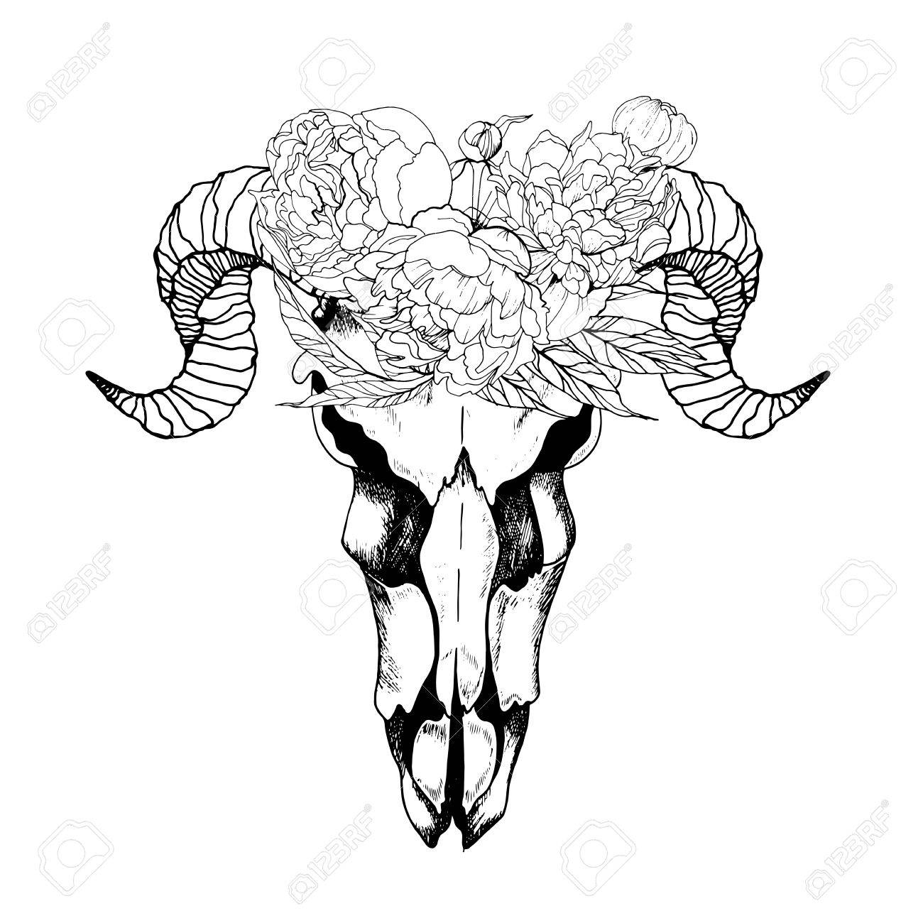 1300x1300 Vector Boho Chic Goat Skull In Flower Wreath. Hand Drawn Engraving