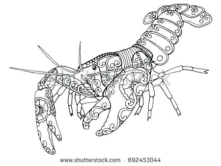 450x339 Crawfish Coloring Page Hat Coloring Pages Crawfish Boil Coloring