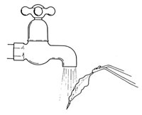 200x162 Testing Leaves For Starch The Technique Nuffield Foundation