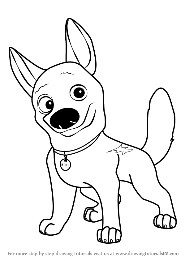 598x844 Learn How To Draw Bolt The Dog (Bolt) Step By Step Drawing Tutorials