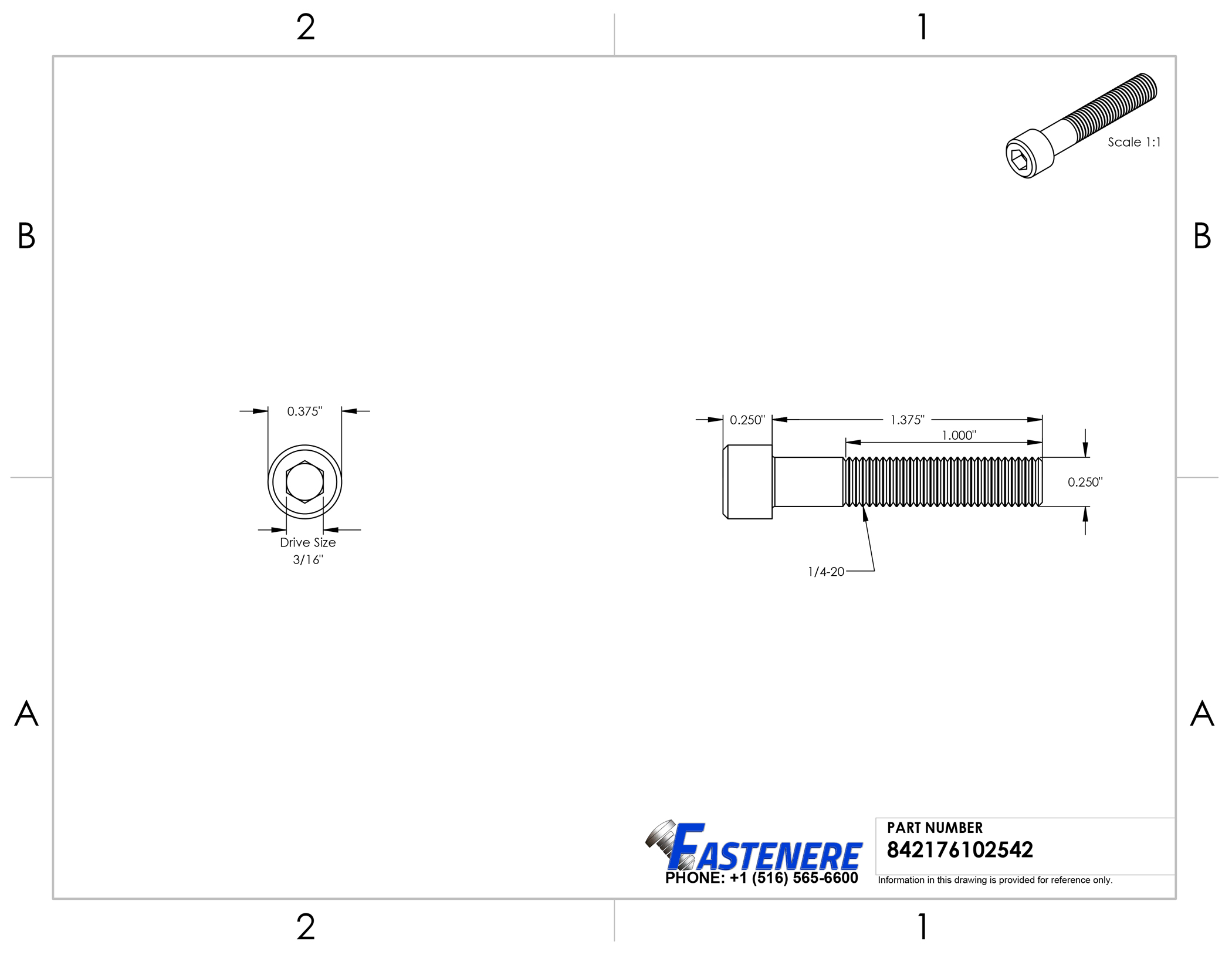 2100x1627 14 20 Socket Head Cap Screws Stainless Steel Allen Bolts All