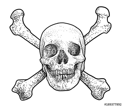 500x435 Skull With Two Cross Bones Illustration, Drawing, Engraving, Ink