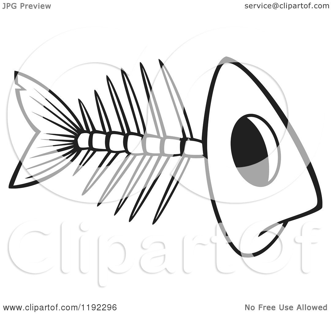 1080x1024 Cartoon Black And White Line Art Of A Fish Bone Skeleton