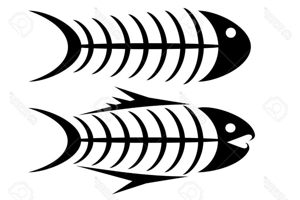 1024x683 Top Set Of Two Tribal Fish Bone Tattoos Photos