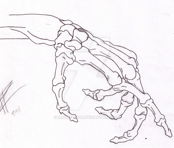 600x513 Skeleton Hand By Illynreaver