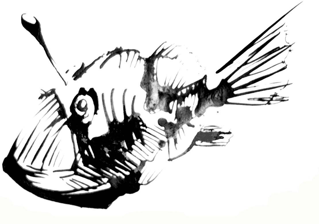 1110x782 Angler Fishm Drawing