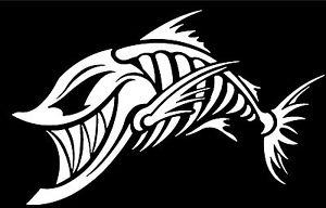 300x192 Bone Fish Skull Window Vinyl Decal Hood Side For Car Truck Boat Ebay