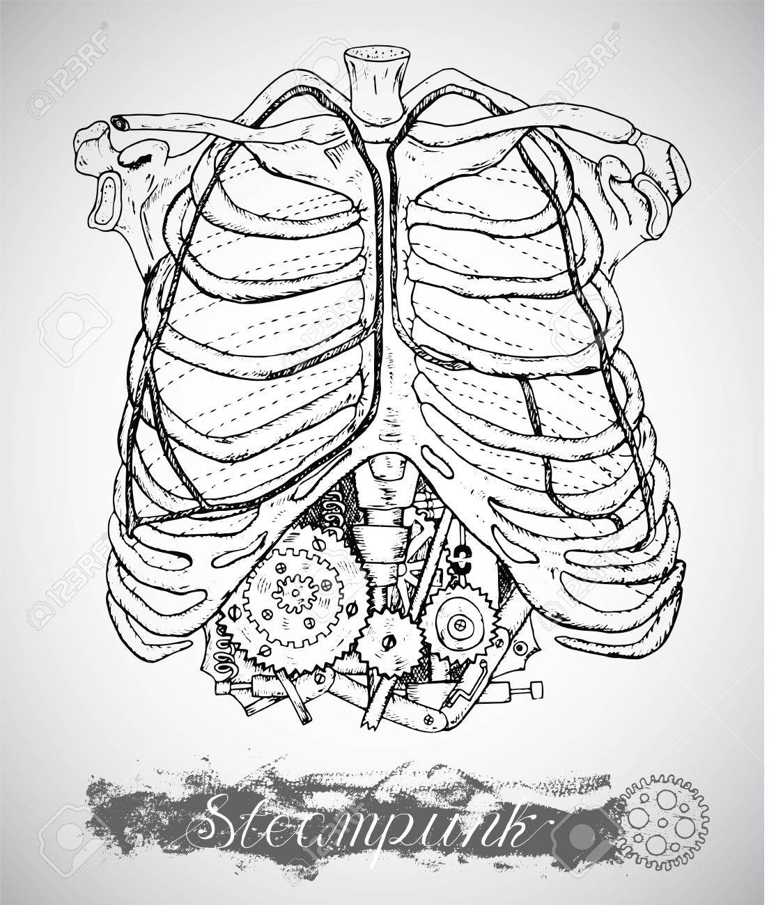 1114x1300 Human Anatomy Chest With Vintage Mechanism In Ribs. Steam Punk