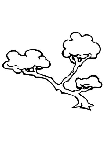 360x480 Bonsai Tree Coloring Page Free Printable Coloring Pages