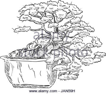 359x320 Bonsai. Black And White Drawing A Small Tree Stock Photo, Royalty