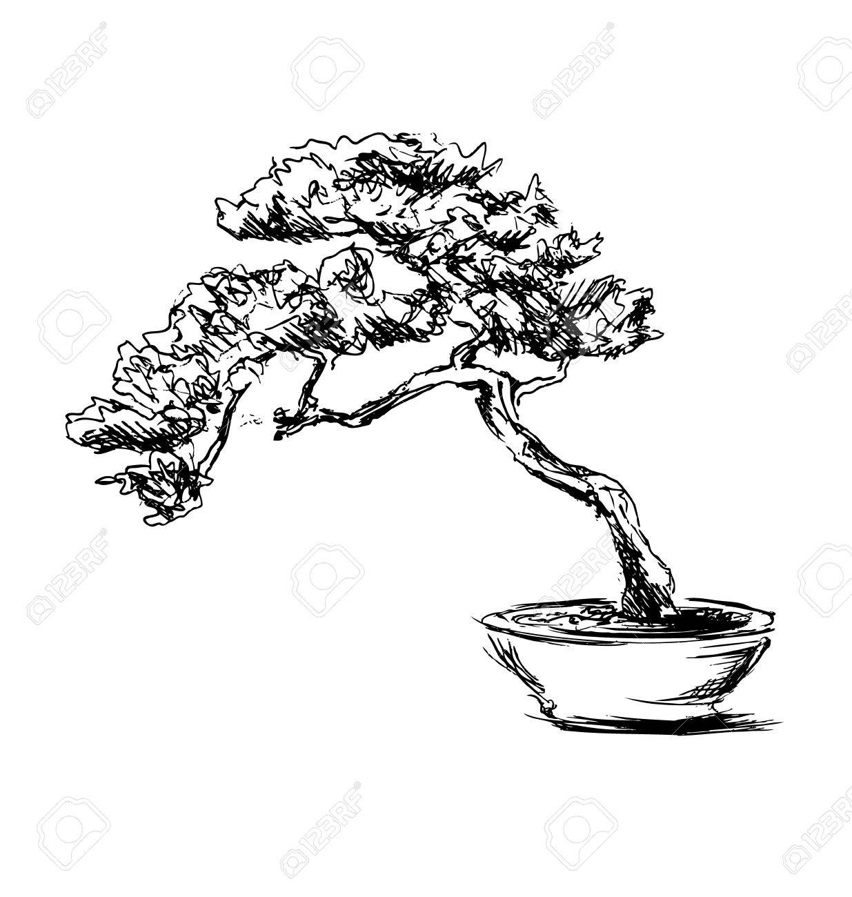 1235x1300 Hand Sketch Bonsai Royalty Free Cliparts, Vectors, And Stock