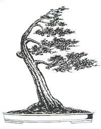 200x253 Image From Httpwww.got Bonsai.co.ukimagesinfoformal.gif