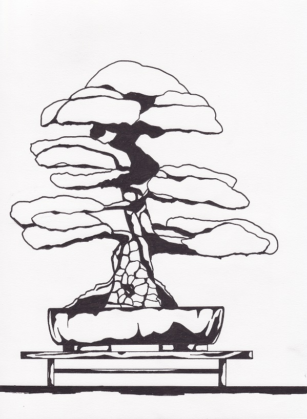 599x818 Bonsai Green Amp Graphics