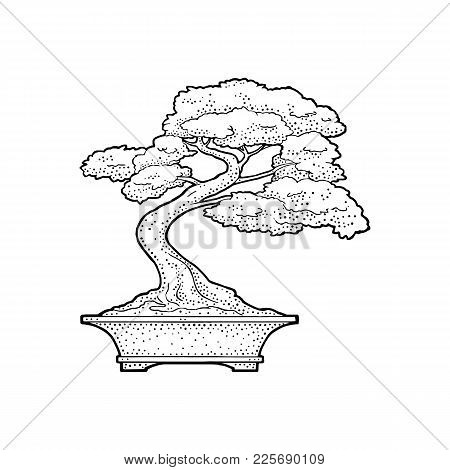 450x470 Bonsai Tree Images, Illustrations, Vectors