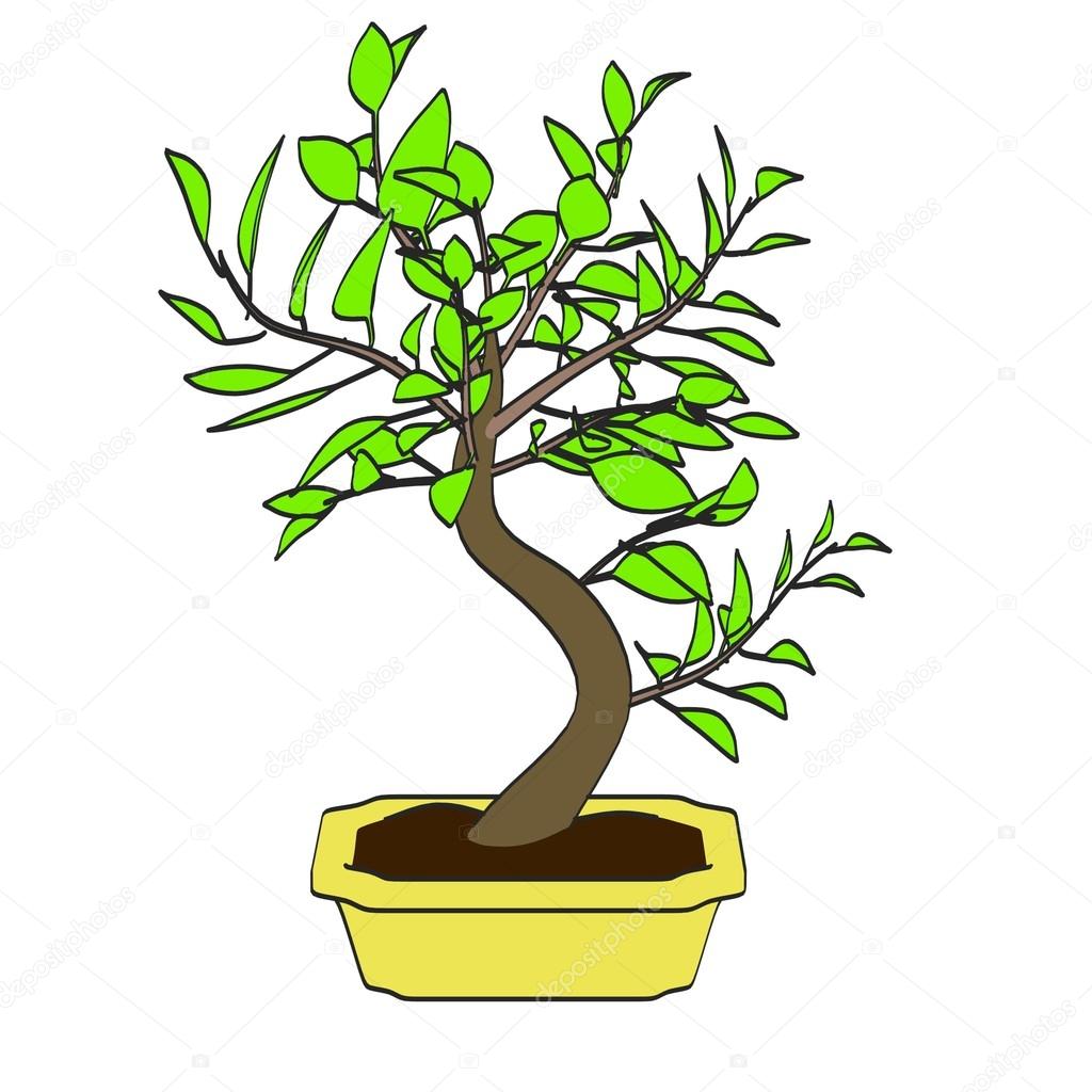 1024x1024 Cartoon Image Of Bonsai Tree Stock Photo 3drenderings