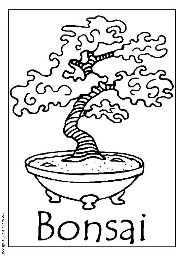 620x875 Coloring Page Bonsai