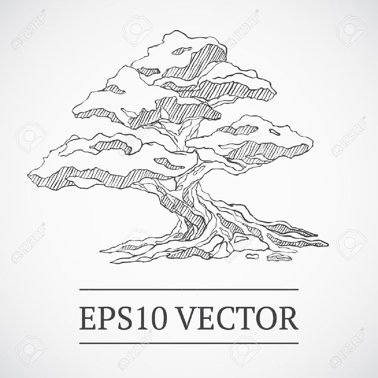 1300x1300 Sketched Bonsai Tree Royalty Free Cliparts, Vectors, And Stock