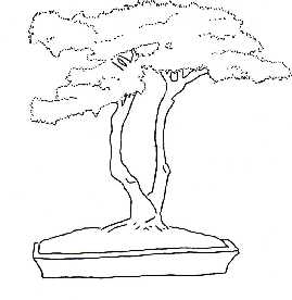 269x276 The Bonsai Coloring Book Background, Details And More
