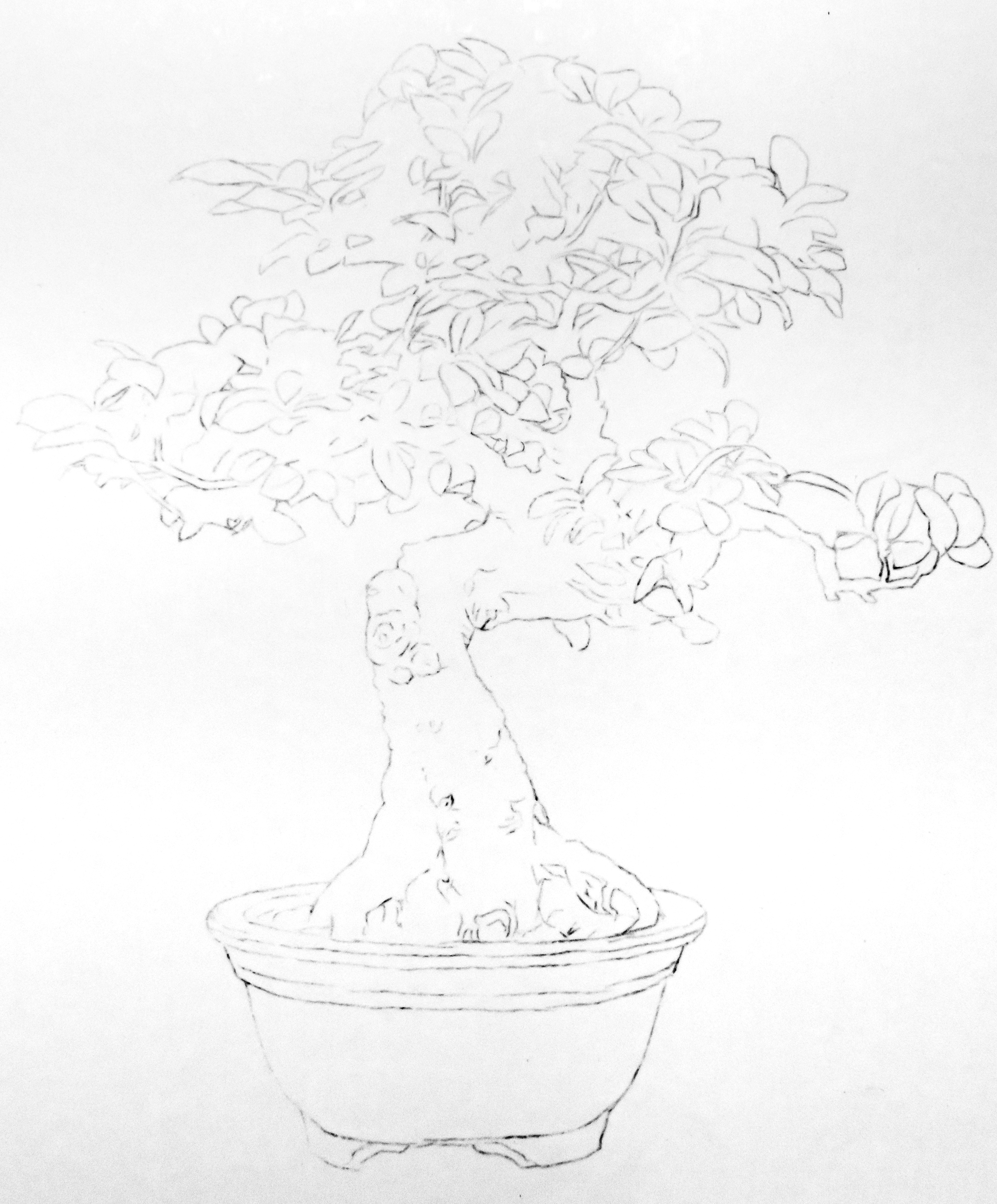 2250x2716 These Are Two Illustrations