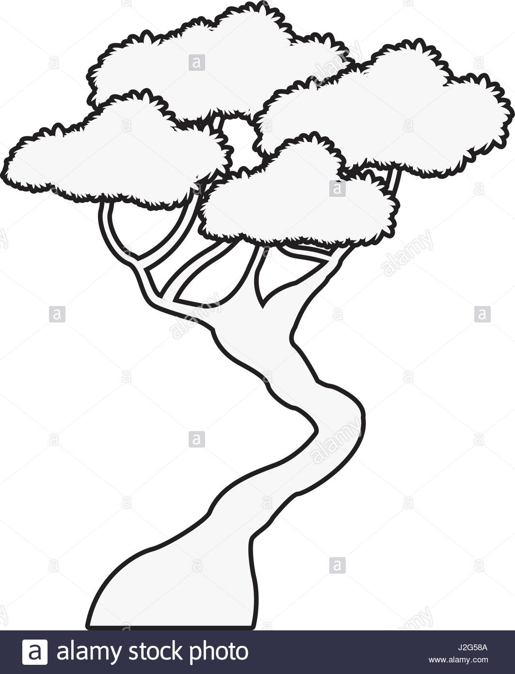 1062x1390 Bonsai Tree Natural Plant Oriental Outline Stock Vector Art