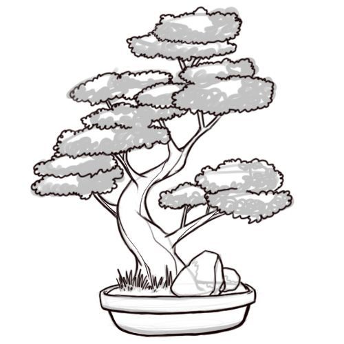 500x500 Japanese Bonsai Tree Drawings