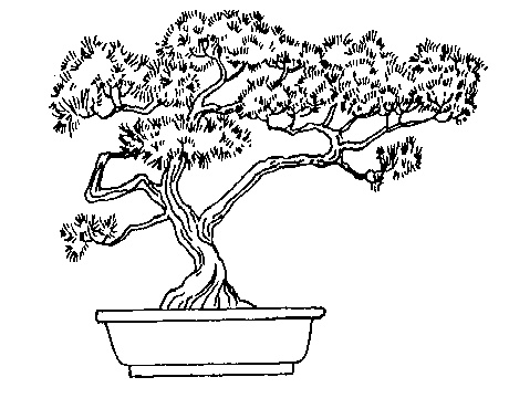 460x379 Bonsai Cliparts 182787