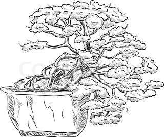 320x268 Bonsai Tree Background Stock Vector Colourbox