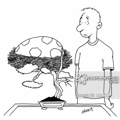 400x402 Bonsai Tree Cartoons And Comics