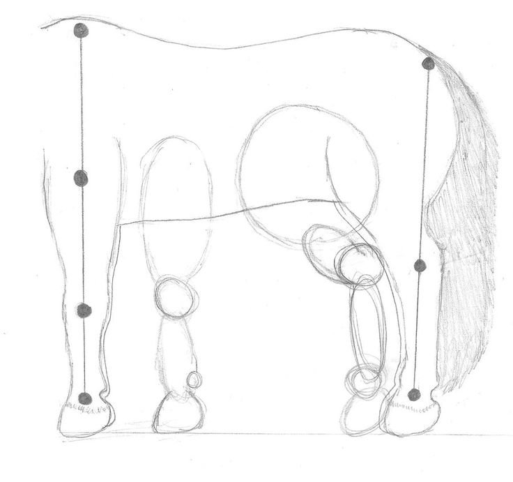 736x691 36 Best How To Draw Images On To Draw, Drawings