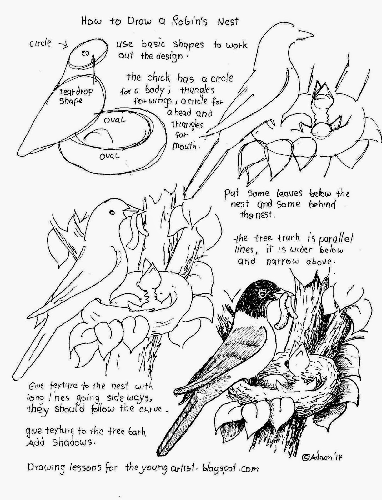 1222x1600 How To Draw A Robin's Nest. See More