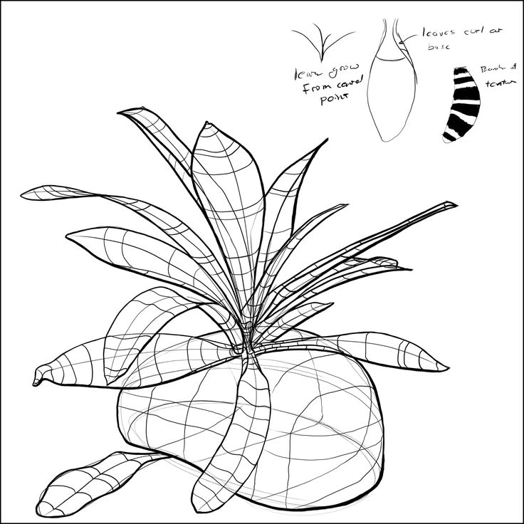 736x736 93 Best How To Draw Realistic Trees, Plants Bushes And Rocks