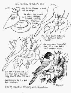 236x309 How To Draw A Sparrow Worksheet.