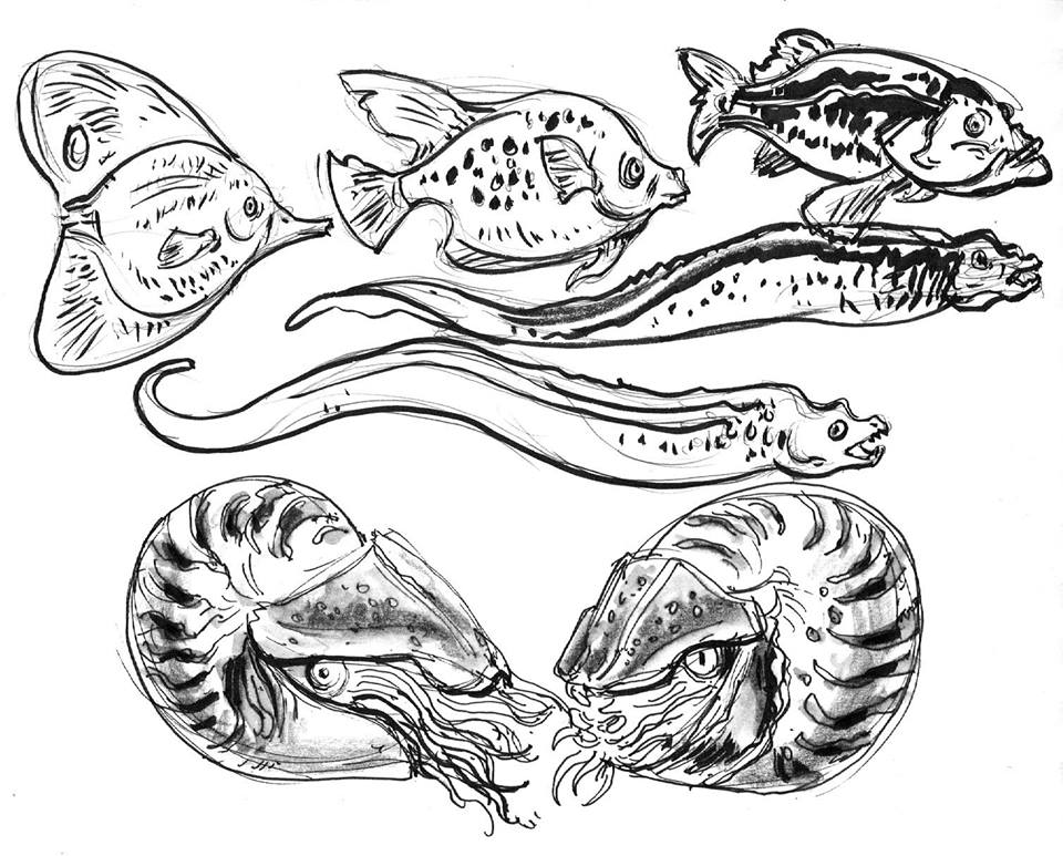 960x773 Gurney Journey Animal Drawing