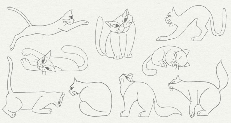 750x400 Animals In Various Postures Drawing Books Maria Cruz Martin