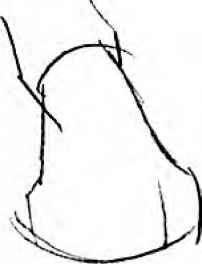 202x264 Head Tilts And Turns