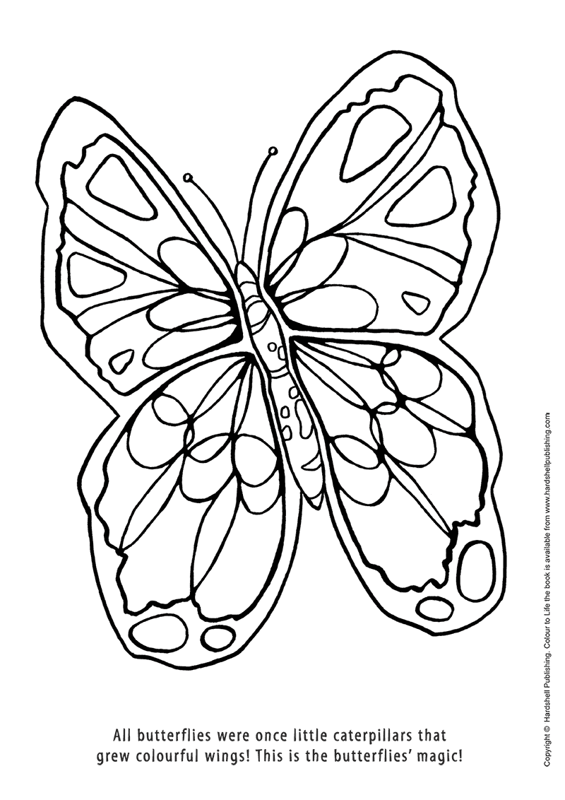 800x1132 Colour To Life A Colouring And Drawing Book! Creative Pages