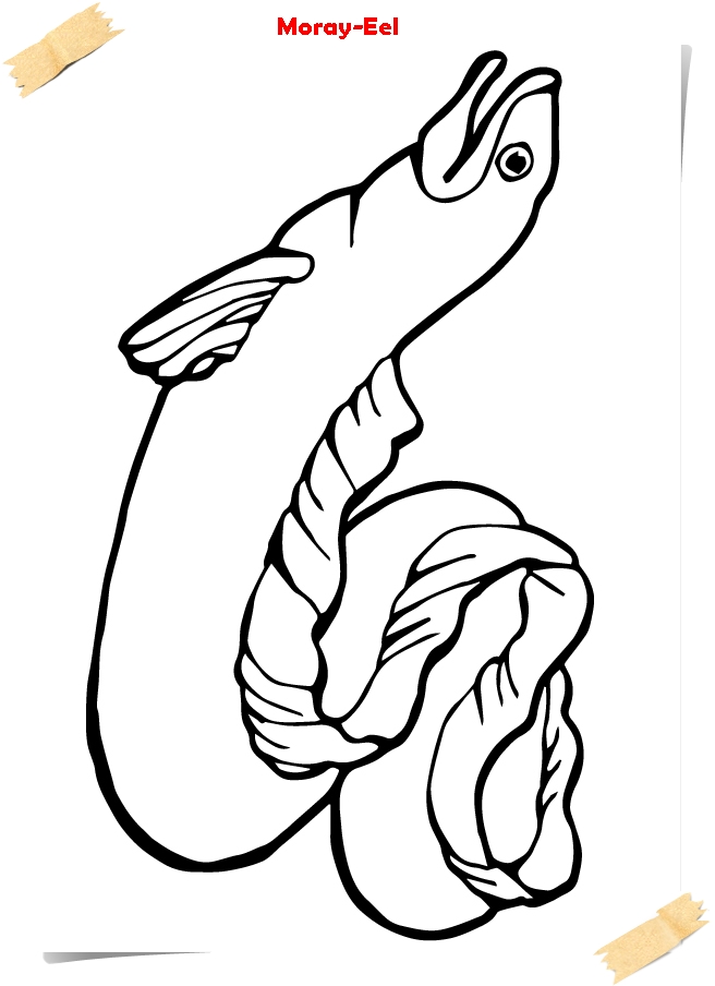 656x904 Sea Animals Coloring Pages E Book