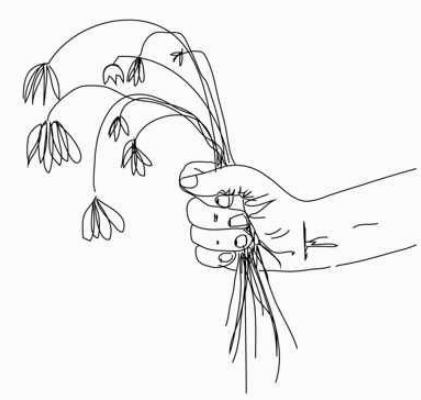 421x400 Milk And Honey By Rupi Kaur