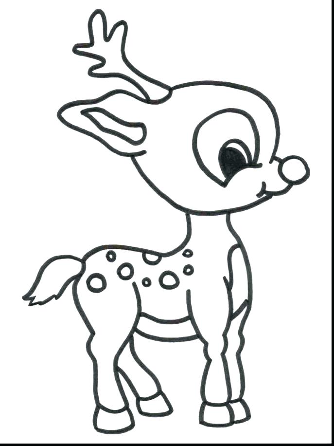 687x916 Cool Realistic Animal Coloring Pages Fee Real Medium Size