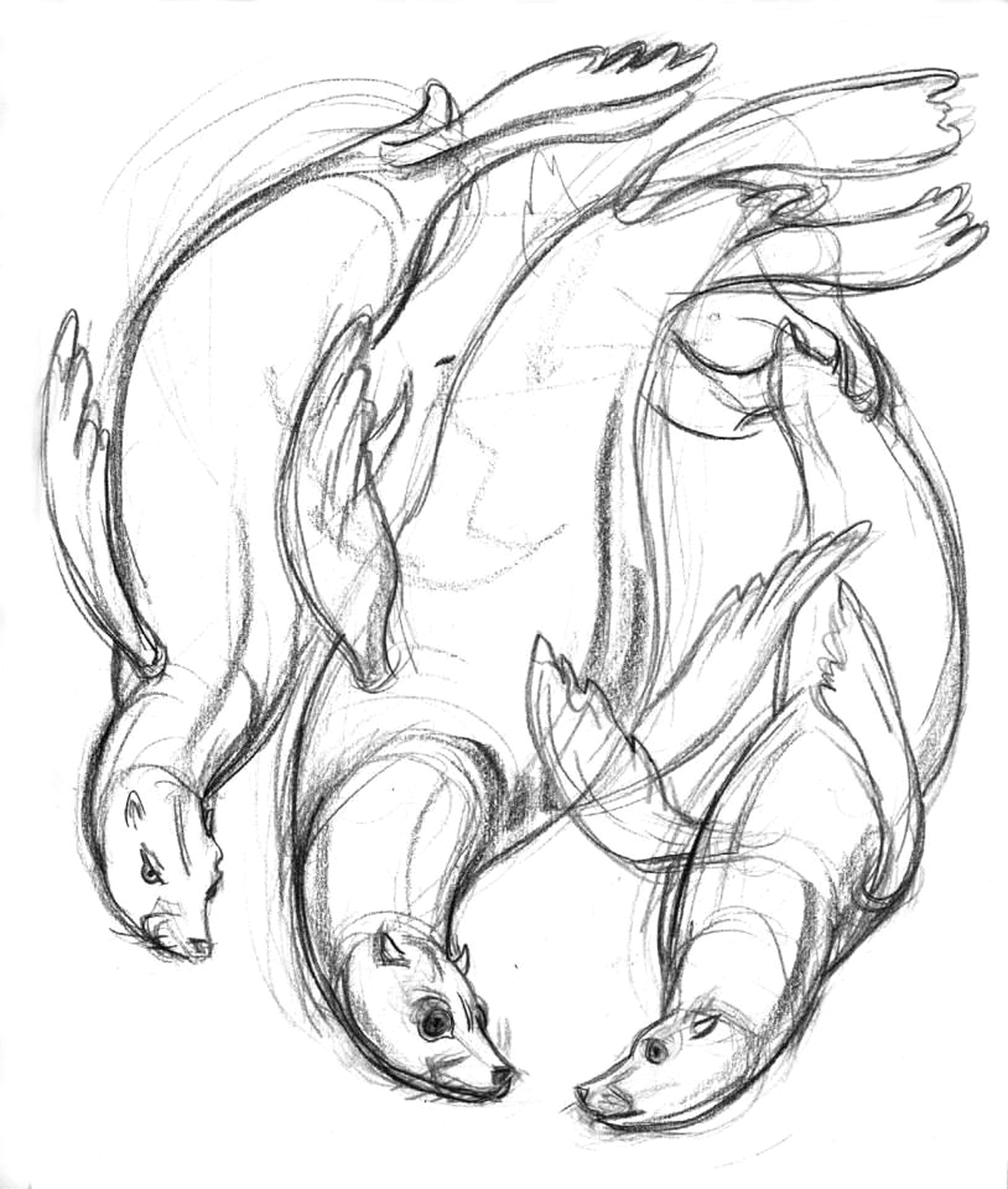 2400x2830 Garygeraths Animal Drawing