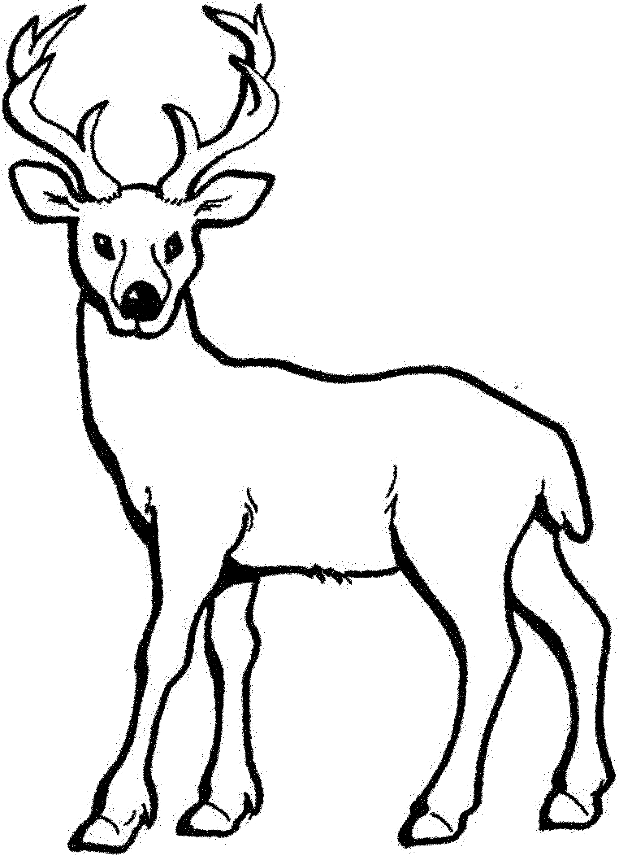 2000x2764 Coloring Pages Deer Coloring Pages Of Printable Kids Colouring