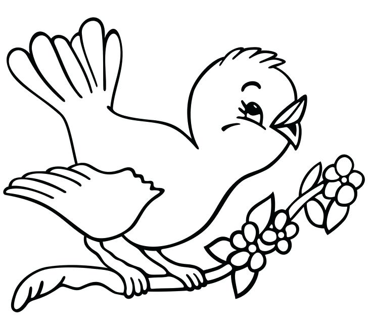 736x645 Color Books For Preschoolers As Well As Coloring Pages Printable
