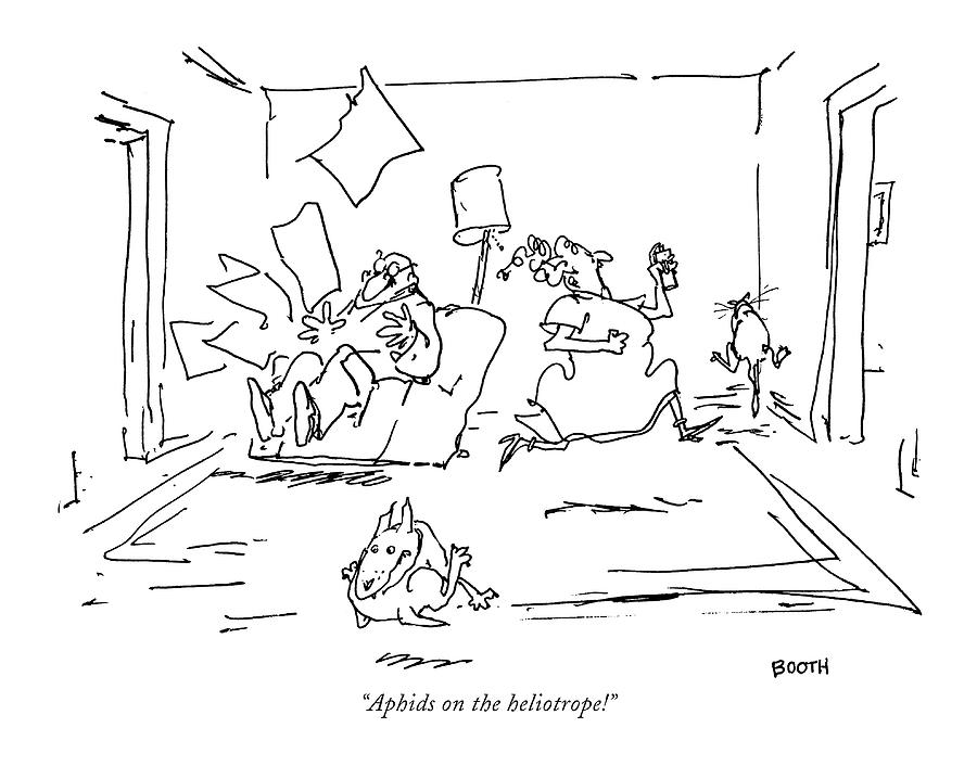 900x706 Aphids On The Heliotrope! Drawing By George Booth