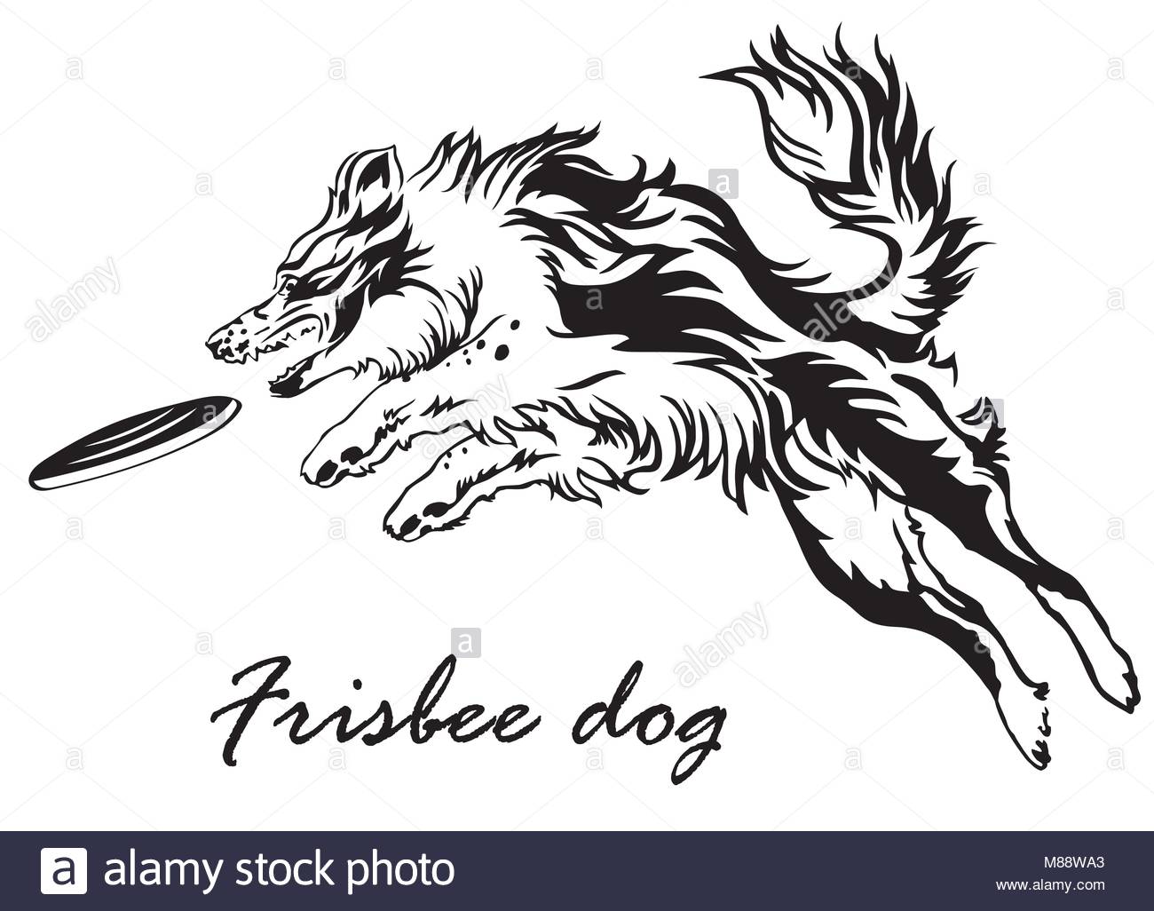 1300x1026 Border Collie Stock Vector Images
