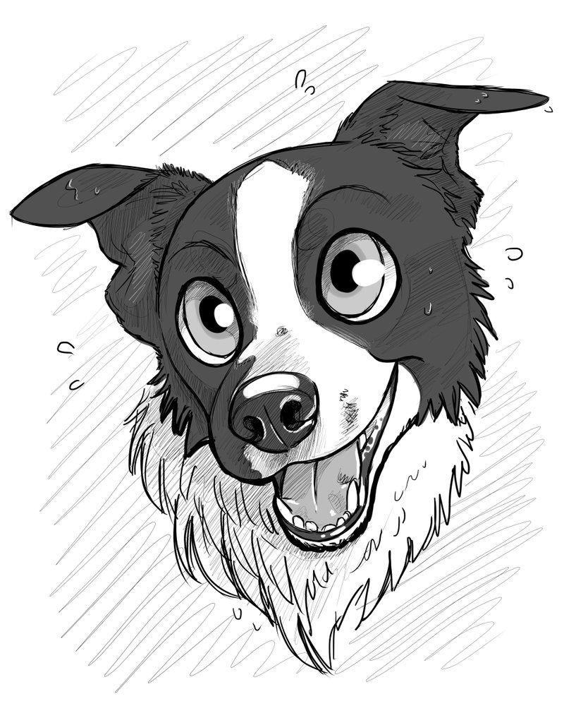 800x1000 Brodie The Border By Alligatorcreator